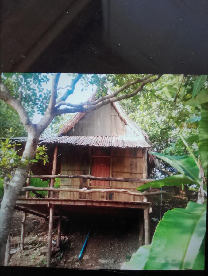 Tree Lodge Banlung Dış mekan fotoğraf