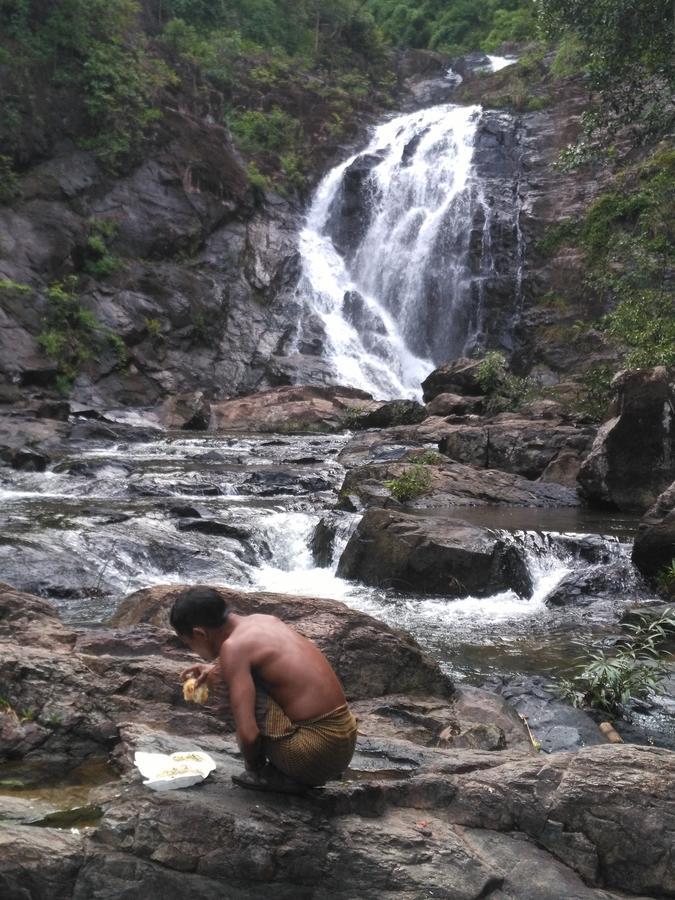 Tree Lodge Banlung Dış mekan fotoğraf