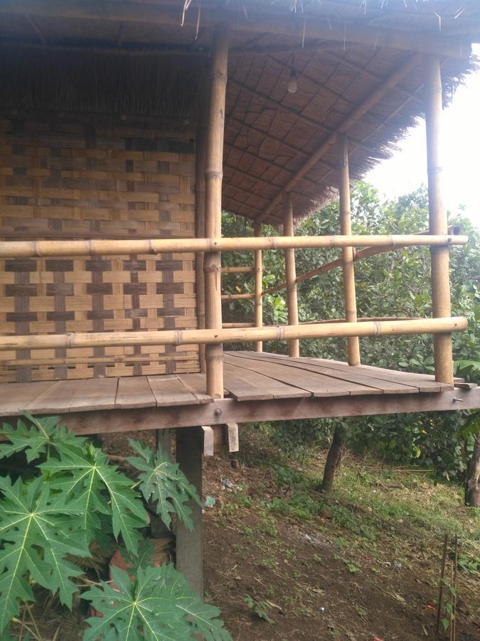 Tree Lodge Banlung Dış mekan fotoğraf