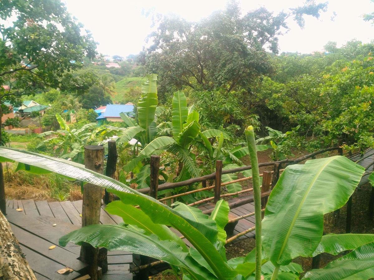Tree Lodge Banlung Dış mekan fotoğraf