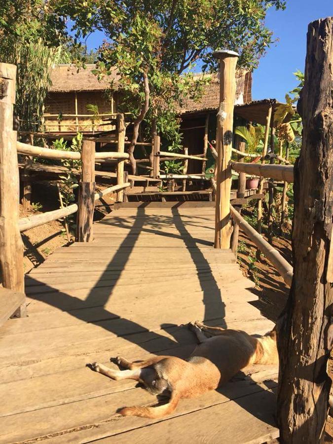 Tree Lodge Banlung Dış mekan fotoğraf