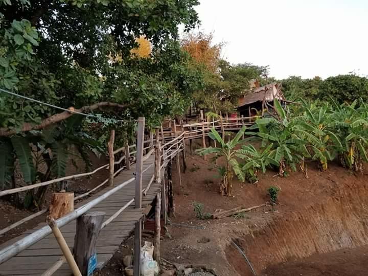 Tree Lodge Banlung Dış mekan fotoğraf